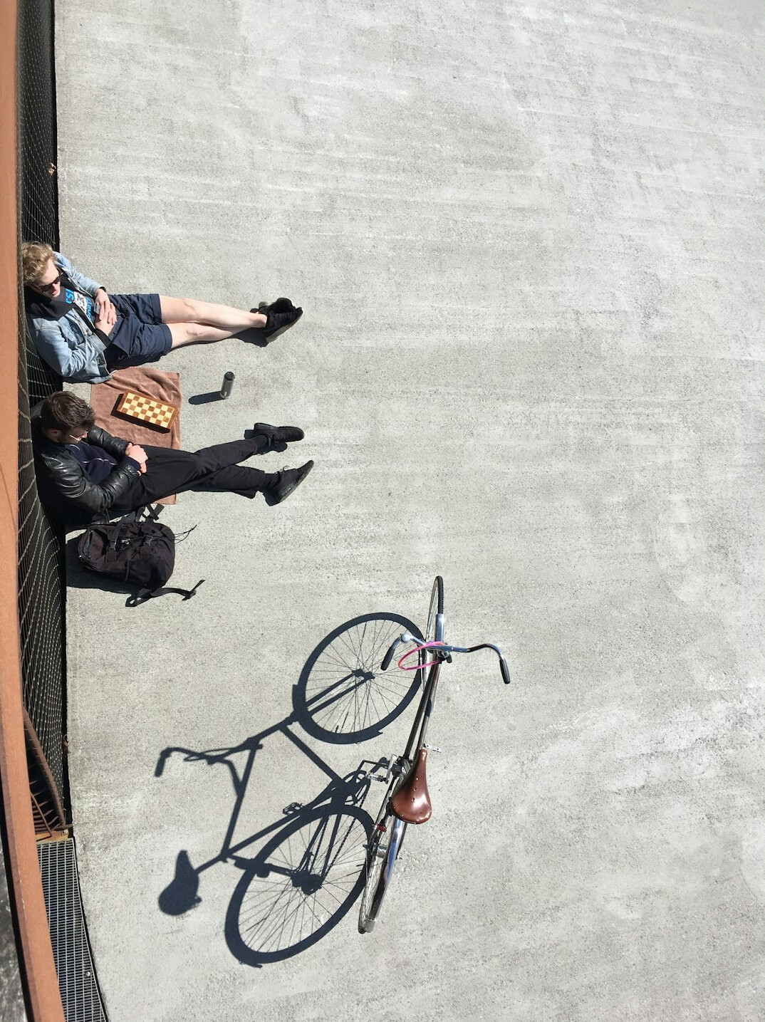 danish cyclists on path